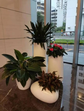 室內(nèi)綠植設(shè)計