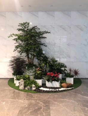室內(nèi)綠植設(shè)計(jì)