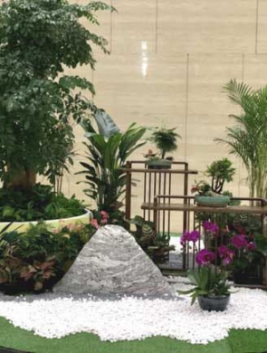 室內(nèi)綠植設(shè)計