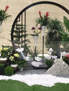 室內(nèi)綠植設(shè)計